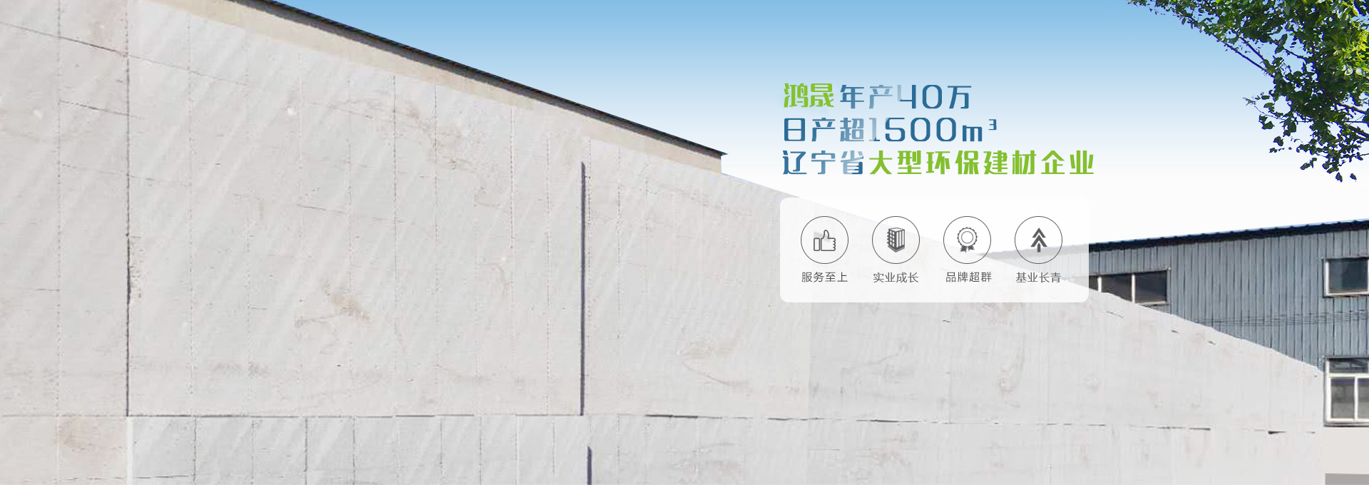 青青草污APP下载
